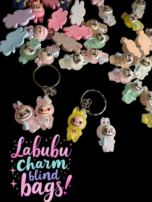Labubu charm blind bags!